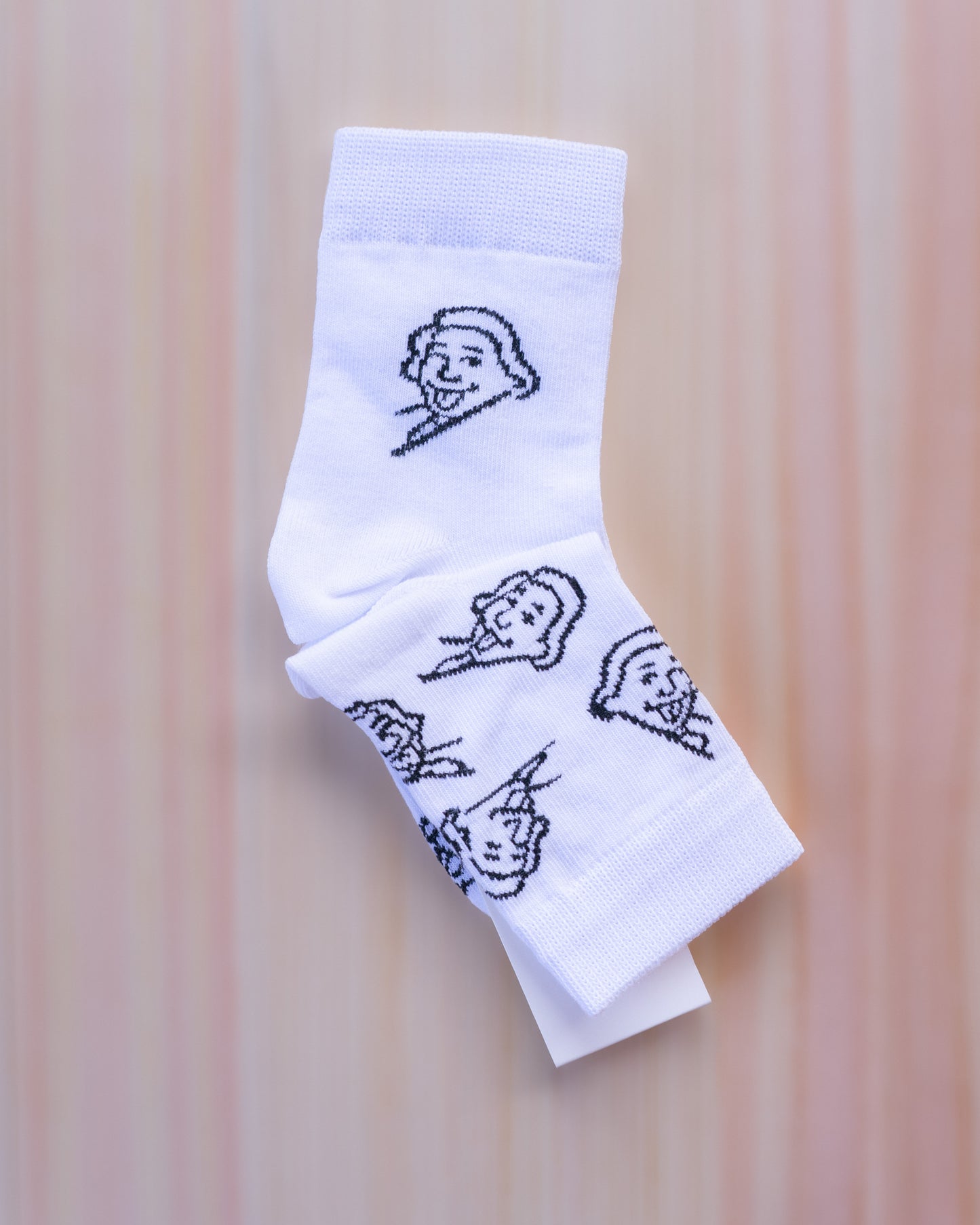 「アイダシュン」x 「Dodo Socks」 ソックス|1足入り