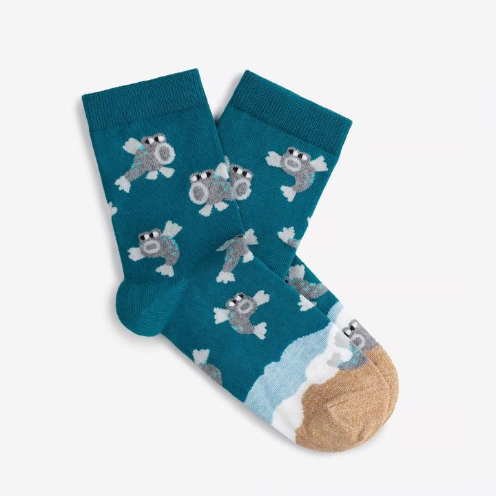 《Dodo Socks》 ×「Yanagawa.to 」  むつごろう、 ごろごろあえると？