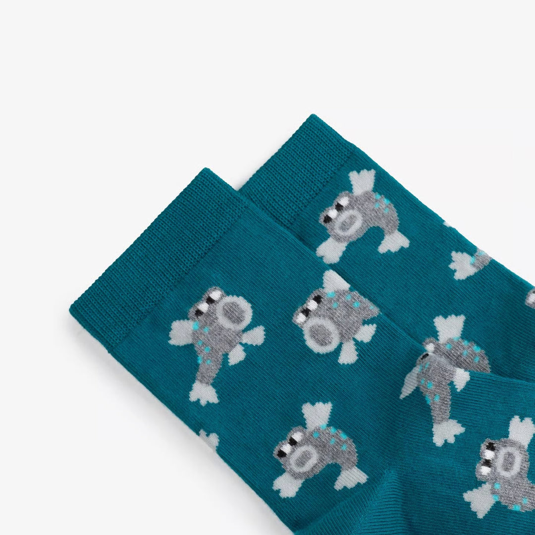 《Dodo Socks》 ×「Yanagawa.to 」  むつごろう、 ごろごろあえると？