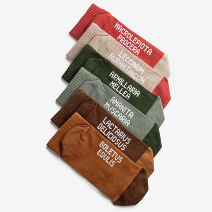 Mushroom Low Socks | 3P set