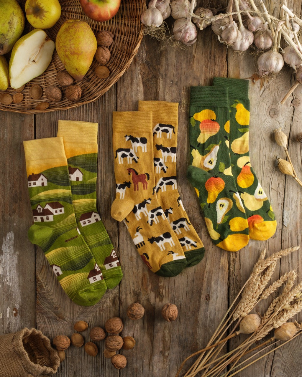 Dodo socks Hamlet Socks | 3 pairs