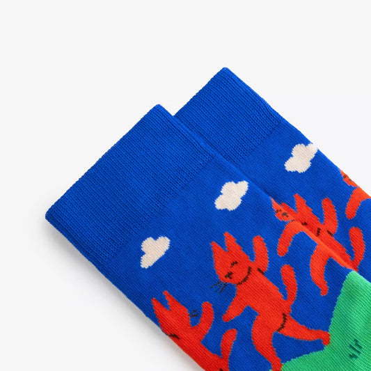 Dodo socks Pool Frog Socks | 1 pair (Tree frog pattern socks | 1 pair)